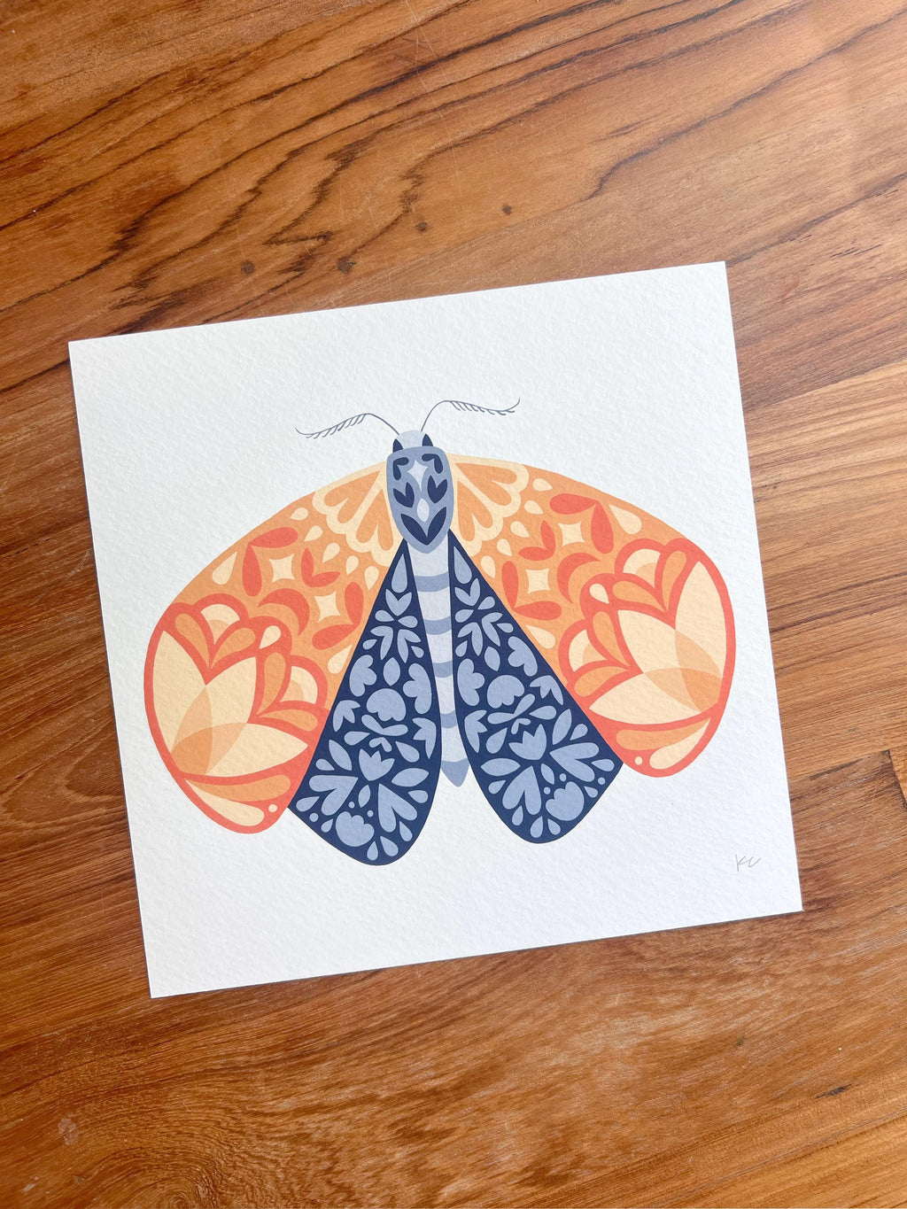 Moth No.2