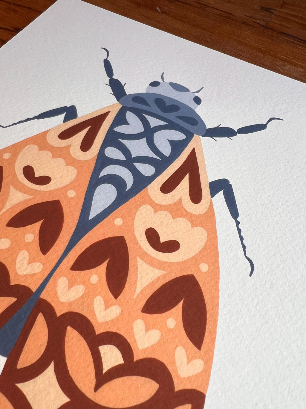 Cicada No.1