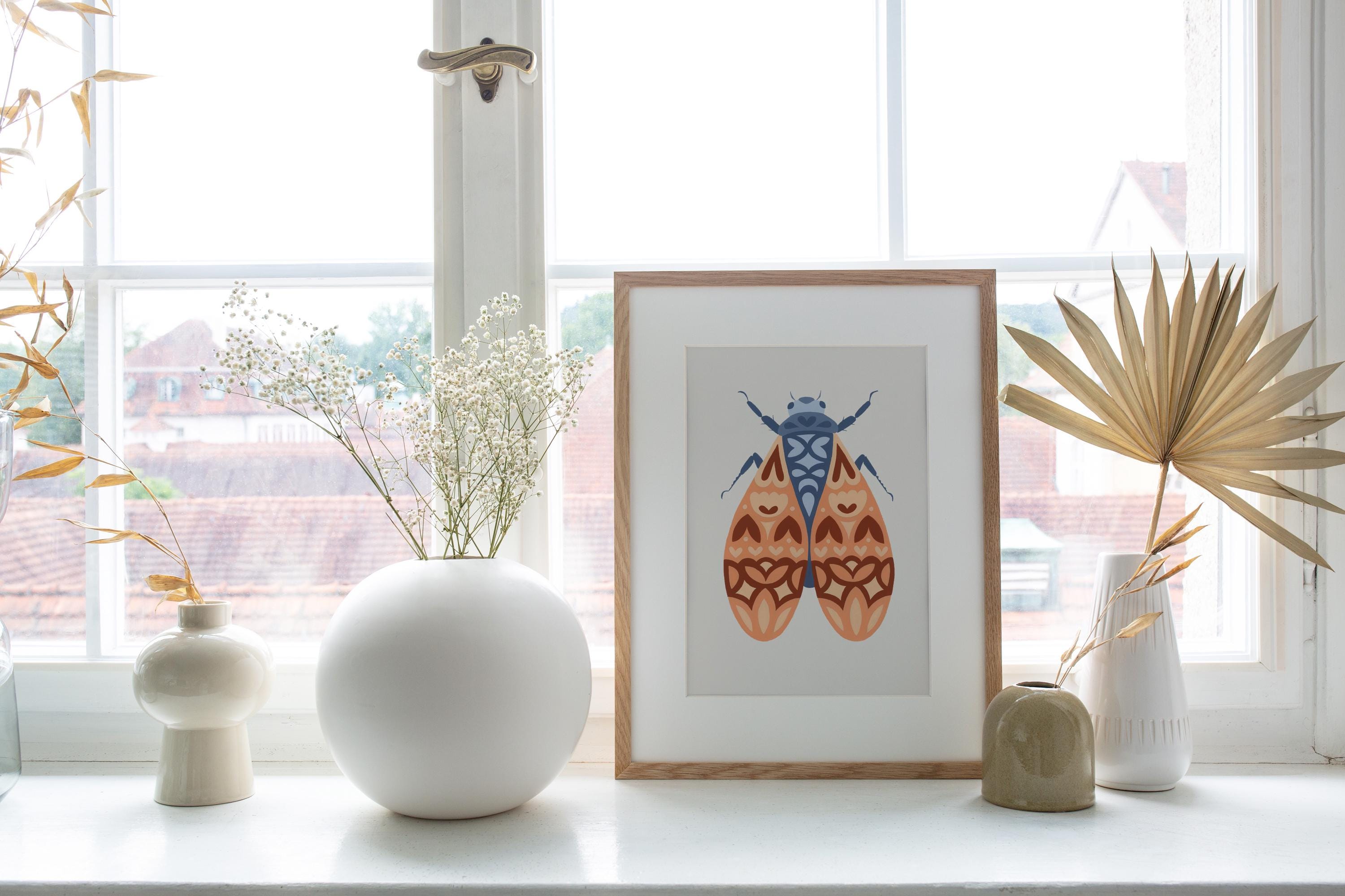 Cicada No.1